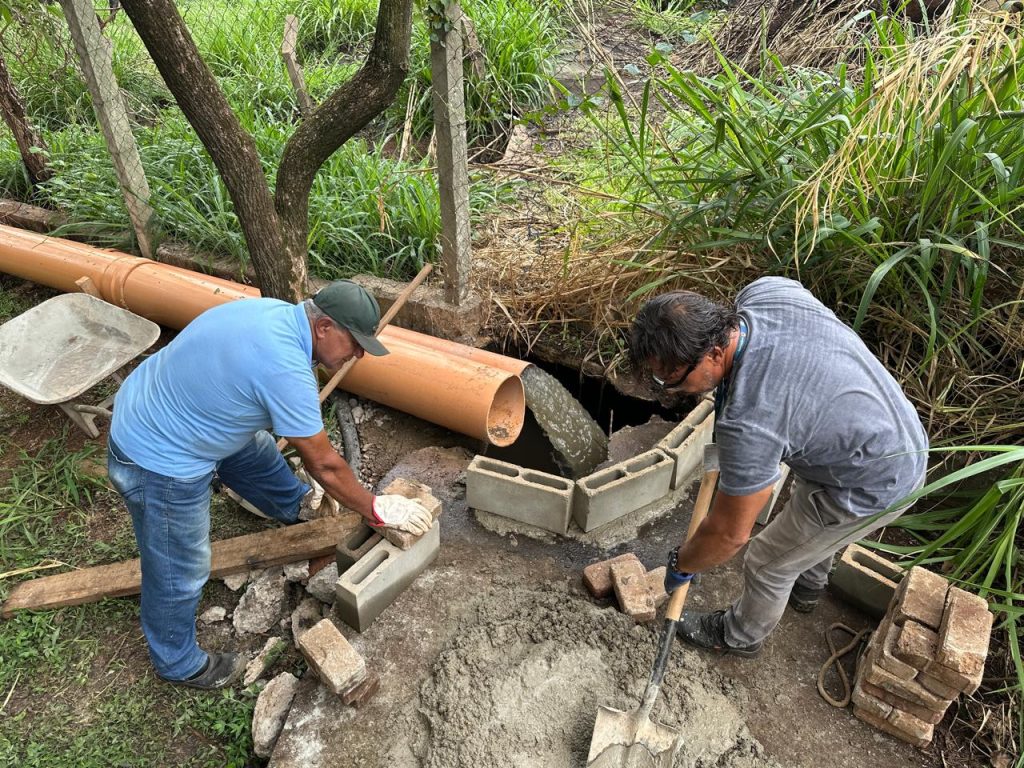 WhatsApp Image 2025-10-28 at 14.58.39