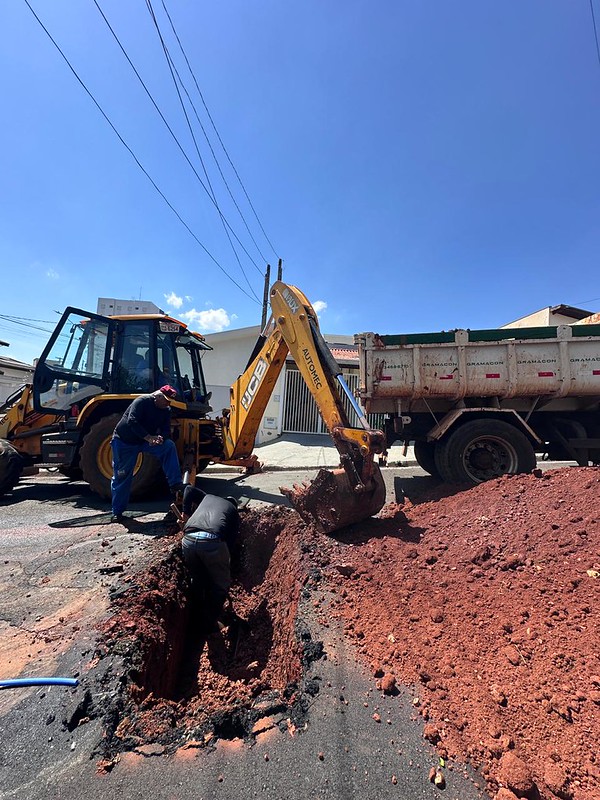 54910505923_17ec6cccb8_c