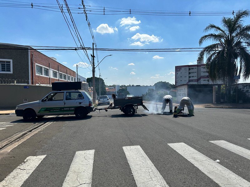 54916349552_7f179d1142_c