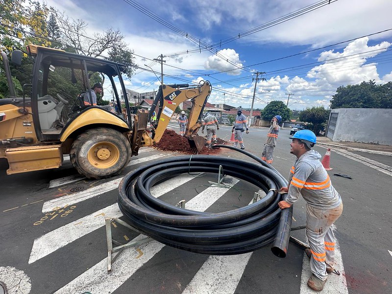 55039267141_e5497346e3_c